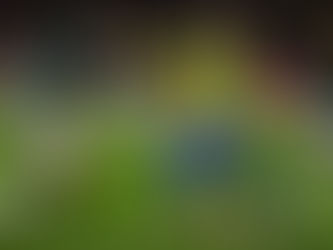 Bolívia vence Brasil com gol de pênalti e garante vaga na repescagem da Copa