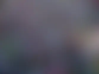 Com recorde de atletas, corrida de São Silvestre terá centésima edição