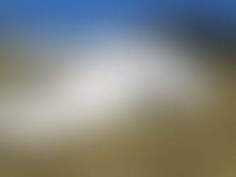 Avião de pequeno porte faz pouso de emergência em área de mata em Jundiaí, interior de SP