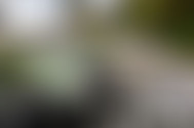 Reconhecido vínculo de emprego entre motociclista entregador e empresa que de serviços de aplicativo