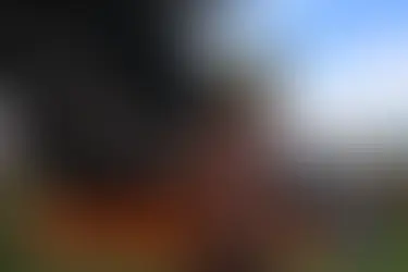 Brasília: Bombeiros são acionados após indígenas atearem fogo