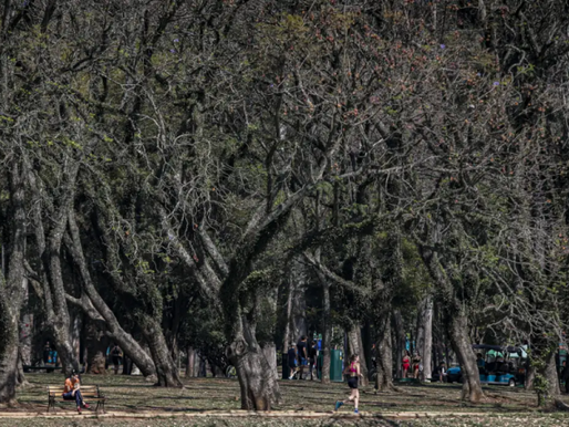 São Paulo encerra mês de agosto como um dos mais secos dos últimos anos