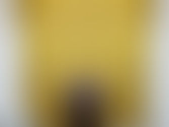 Trump diz ter tido ‘conversa produtiva’ com Putin e fala em acordo para encerrar guerra entre Rússia e Ucrânia