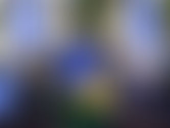 Após críticas por comunicado neutro, ministro das Relações Exteriores diz que Brasil ‘condena qualquer ato de violência’