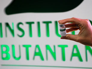 Vacina do Butantan freia replicação do vírus da dengue, diz estudo