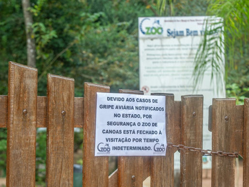 Filipinas e Jordânia se juntam a outros 19 destinos e suspendem importações de frango do Brasil