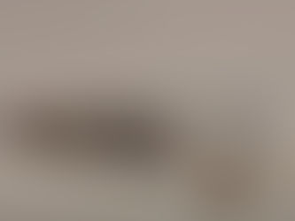 Deputada federal pressiona Prefeitura de São Paulo por ações contra a droga K9