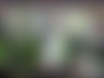 Vini Jr. é eleito o melhor jogador da Liga dos Campeões