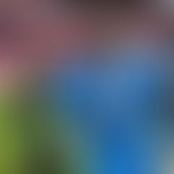 From Wembley to now | The Ultimate Modern Posh XI?