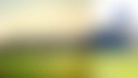 Celebrating 30 years of the family stand | The changing face of Glebe Road 