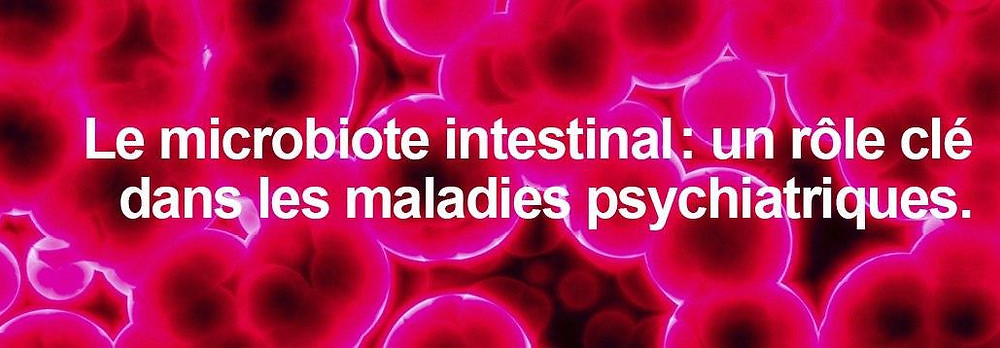 Microbiote Dépression Stress Anxiété
