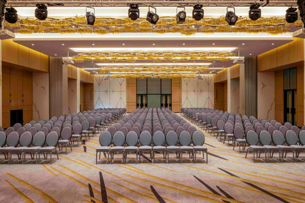 Miguel Veterano X Tribu Kreative