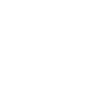 Google Icon