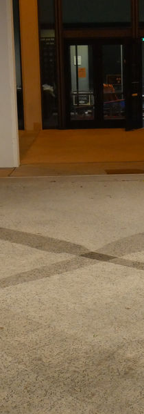 P1000441.JPG