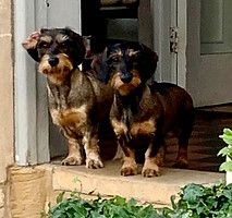 Patsy and eddie_edited.jpg