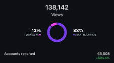 Instagram Growth Results
