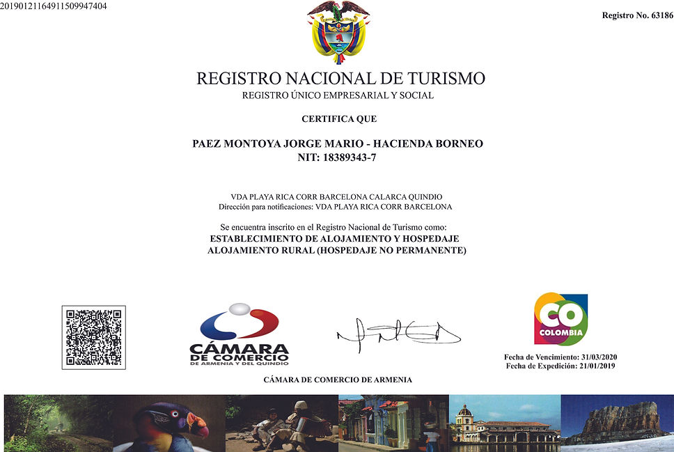 RNT ACTIVO 2019 - 2020 borneo.jpg