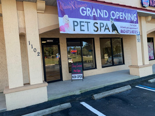 Dog Groomer Winter Haven Fl Classy Canines Pet Spa