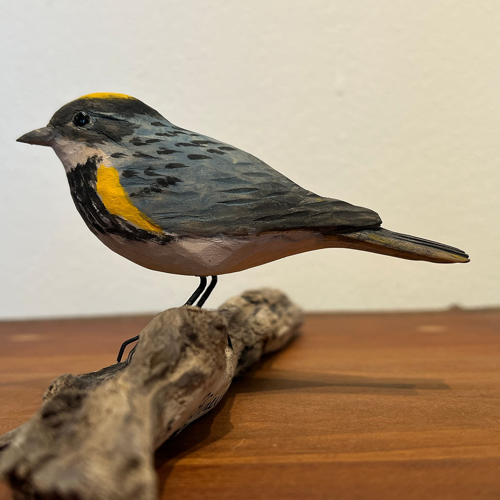 Thumbnail: Myrtle Warbler - Hand Carved Painted Wood Sculpture