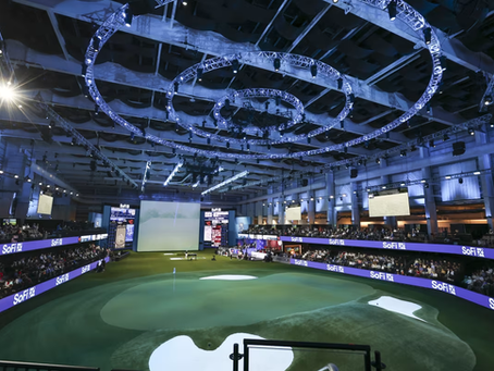 Emerging Sports Leagues: Captivating Fans