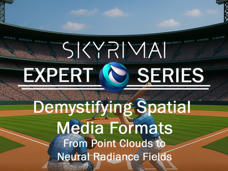 Demystifying Spatial Media Formats: From Point Clouds to Neural Radiance Fields