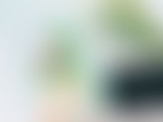 Agencia de viajes en Monterrey