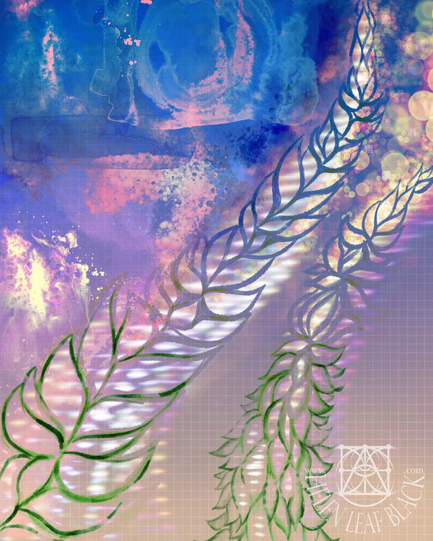 030-helenleafblackdotcom-wm.jpeg