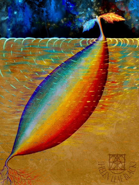 017 -helenleafblackdotcom-wm.jpeg