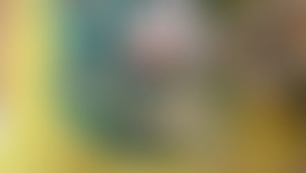 🎨 入口に広がる、小さな"作品ギャラリー"——利用者さんの手仕事、ここに集結!