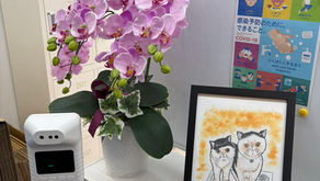 株式会社カラーの入口は、訪れた方が「ほっ」と安心できる空間づくりを大切にしています。