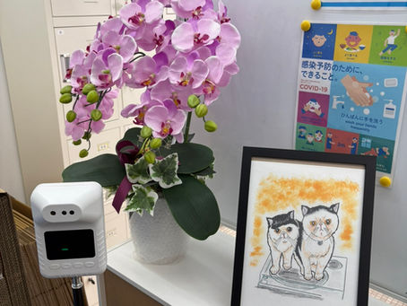 株式会社カラーの入口は、訪れた方が「ほっ」と安心できる空間づくりを大切にしています。