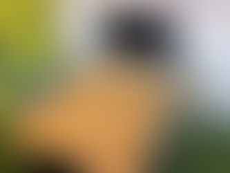 「まずは話してみませんか?─ colorの相談スペースのご紹介」