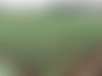 🌱 三浦の農家を見学して感じた、土地の力と人の温か