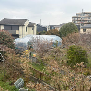 🌿 事業所の窓から見える、のどかな景色