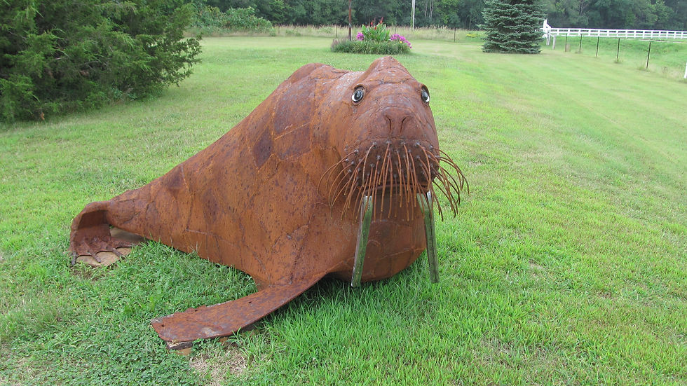 I AM the Walrus by Dale Lewis