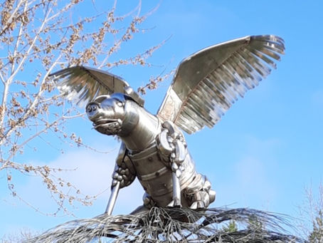 Ethel The Flying Pig