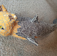 Cat Fish