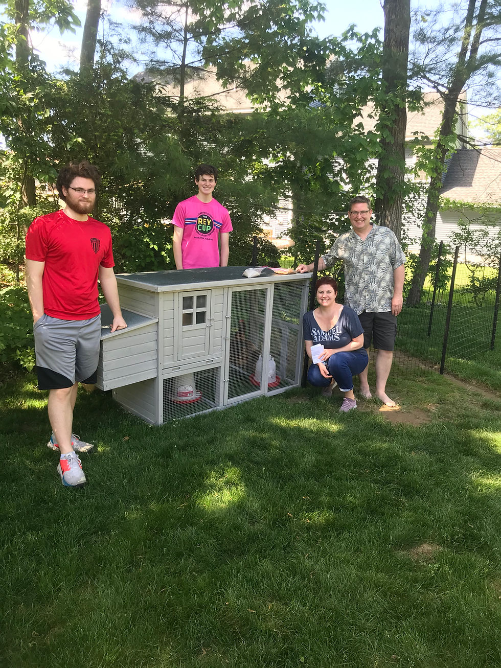 Hens love their new summer family!