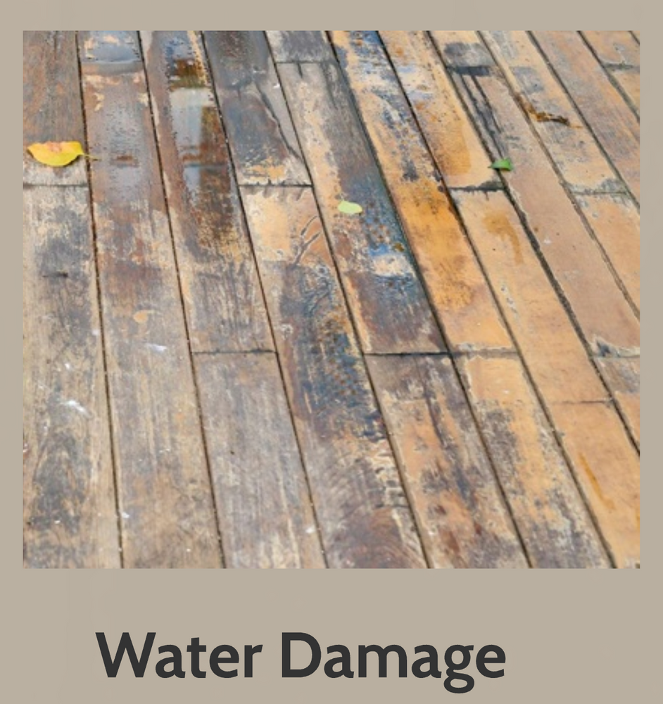 Decks and Decking That Big Deck Energy