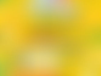 21.Jan.2024 ミライへ繋ぐ音楽会~障がい者支援ワークショップ&コンサート~