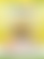 25.Apr.2025　ガルガンチュア音楽祭in白山　ヨハン・シュトラウス二世生誕200年記念 ～心躍るウィンナワルツ・ポルカ名曲集～