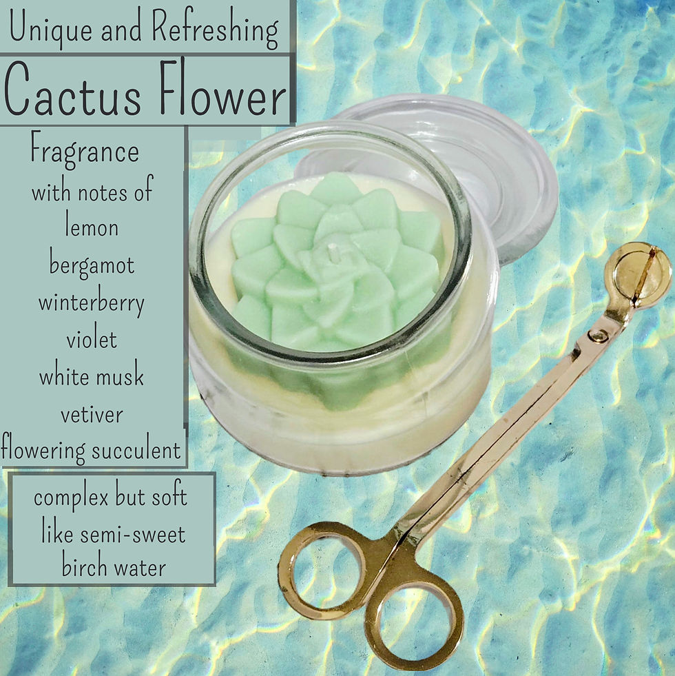 Thumbnail: Succulent Candle | Cactus Flower | 100% Soy Wax Candle | 7 oz in Glass Jar