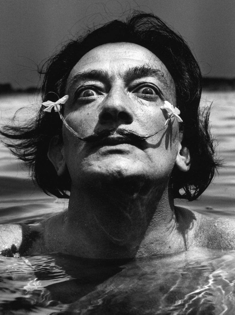 p+4+Dali+dans+l'eau.jpg