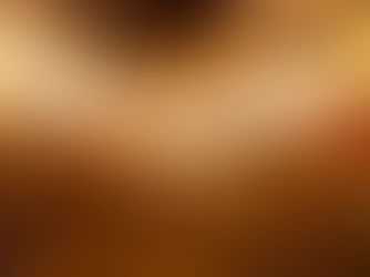 서양미술사 미술의 시초 선사시대의 예술