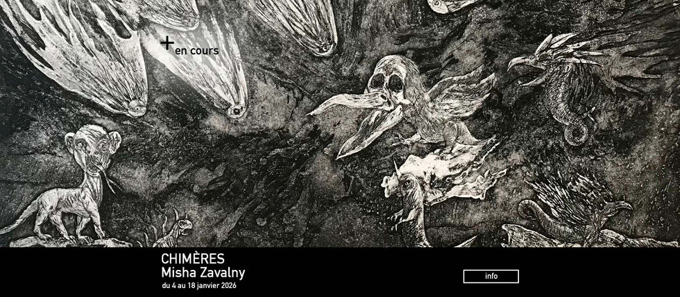 exposition Misha Zavalny