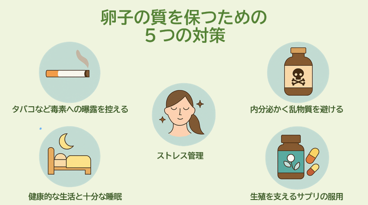 卵子の質と妊娠力を高める5つの科学的に証明されたヒント