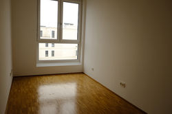 Parsevalstr6_DG_4zi_5