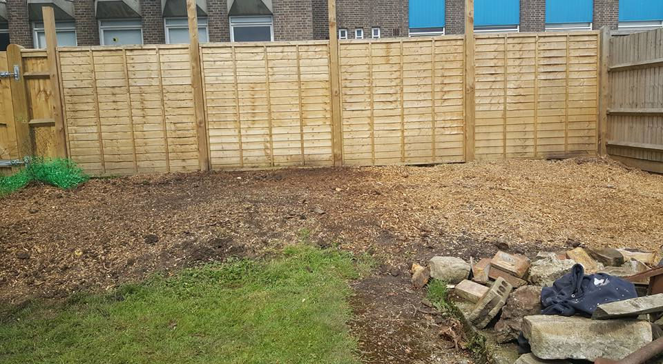 stump grinding 5