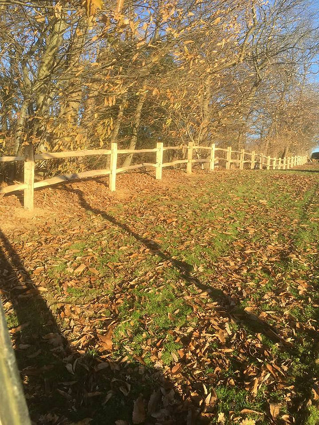 Fencing 2