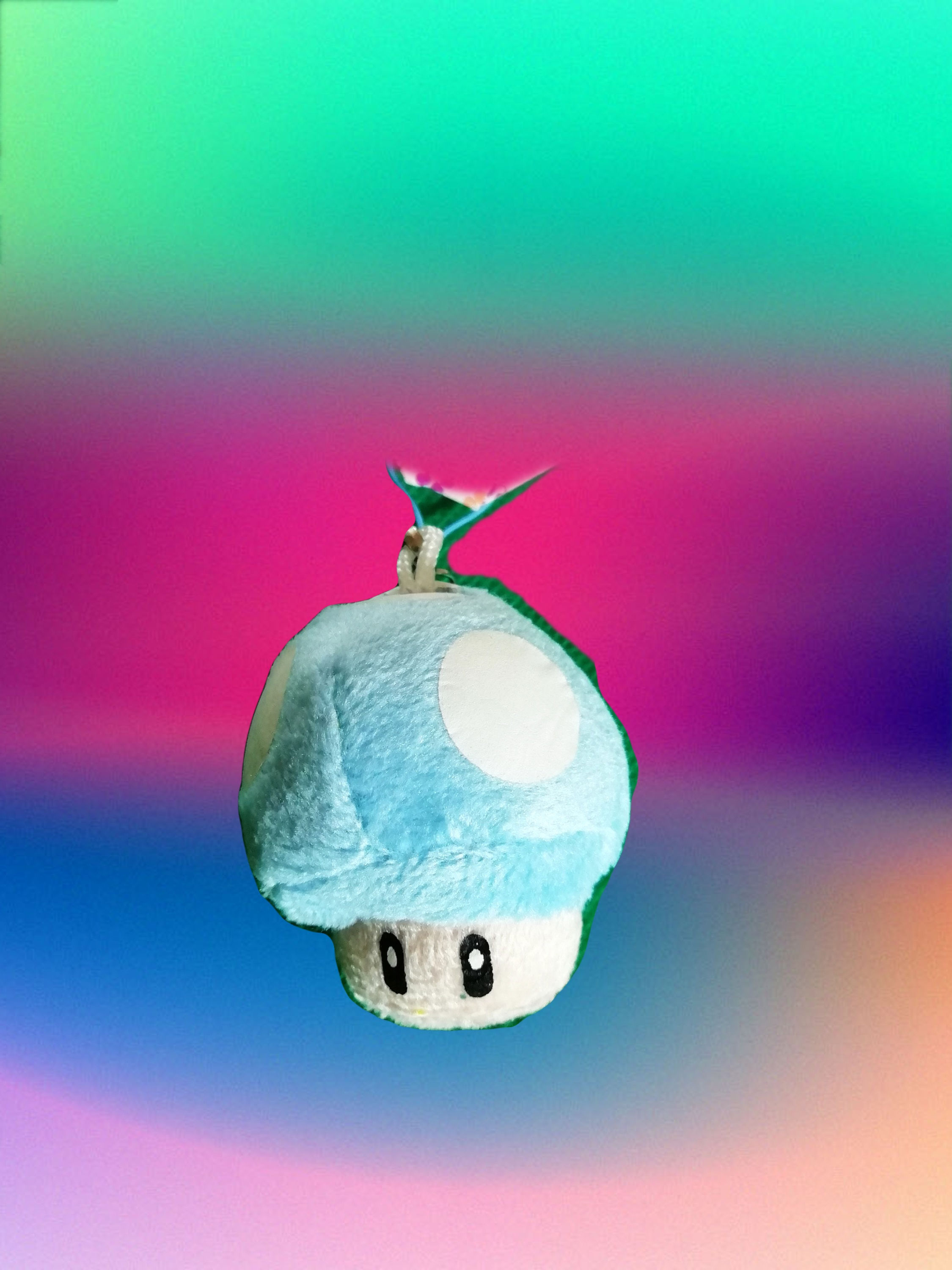 Super Mario Bros Mushroom key chain